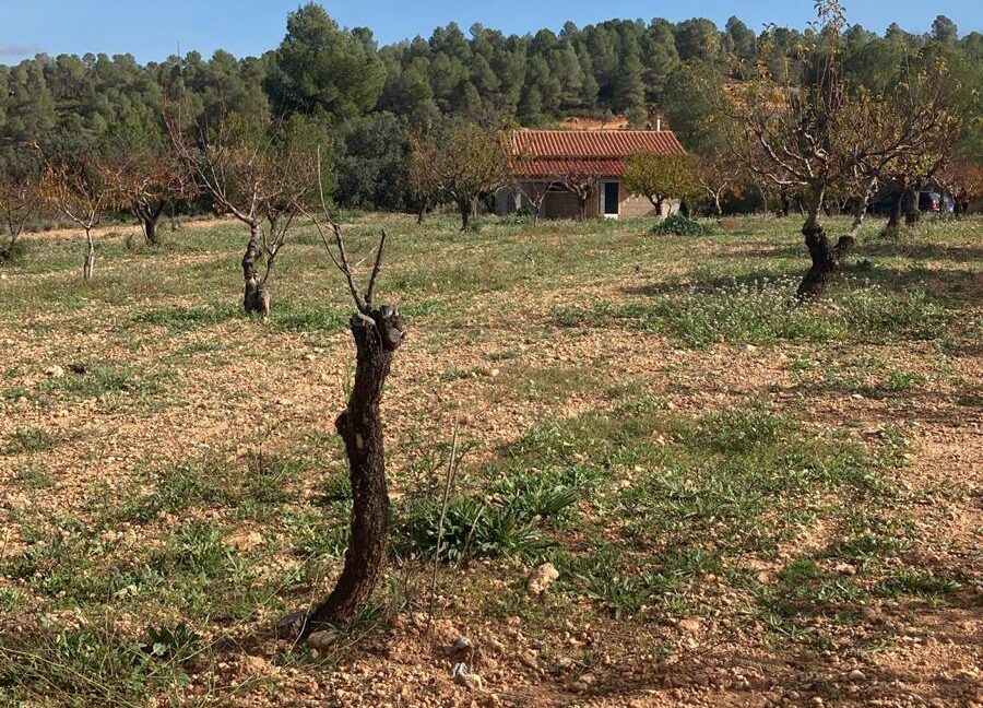 WhatsApp Image 2025-04-16 at 18.12.46 (1)