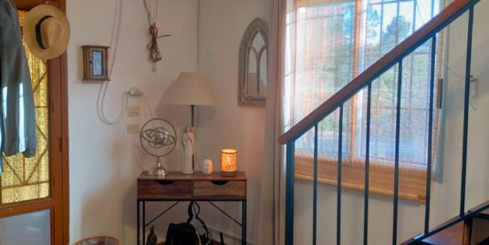 VPS 787 Country House in Ayora