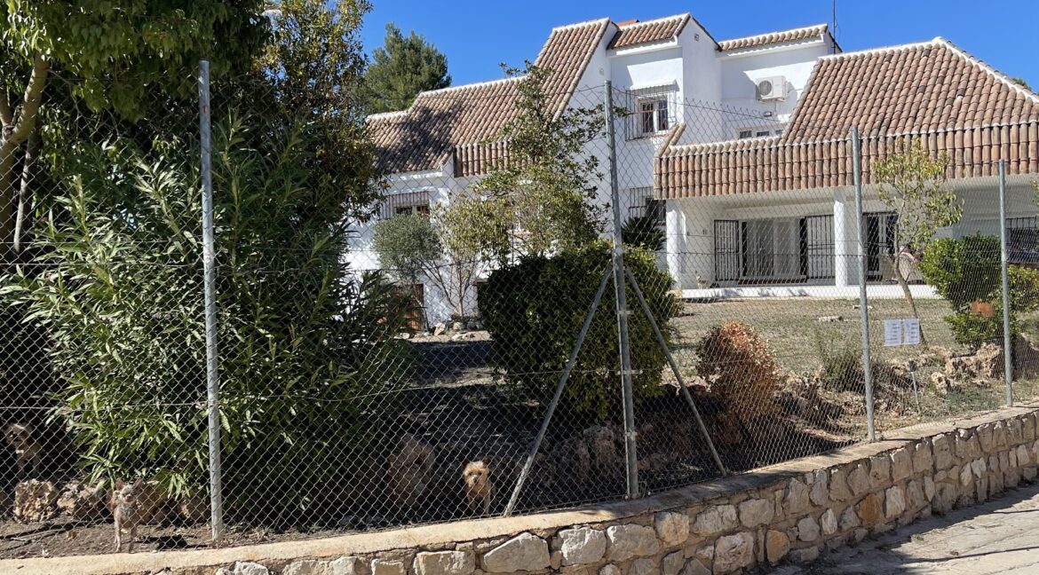 Outside front of house (1)