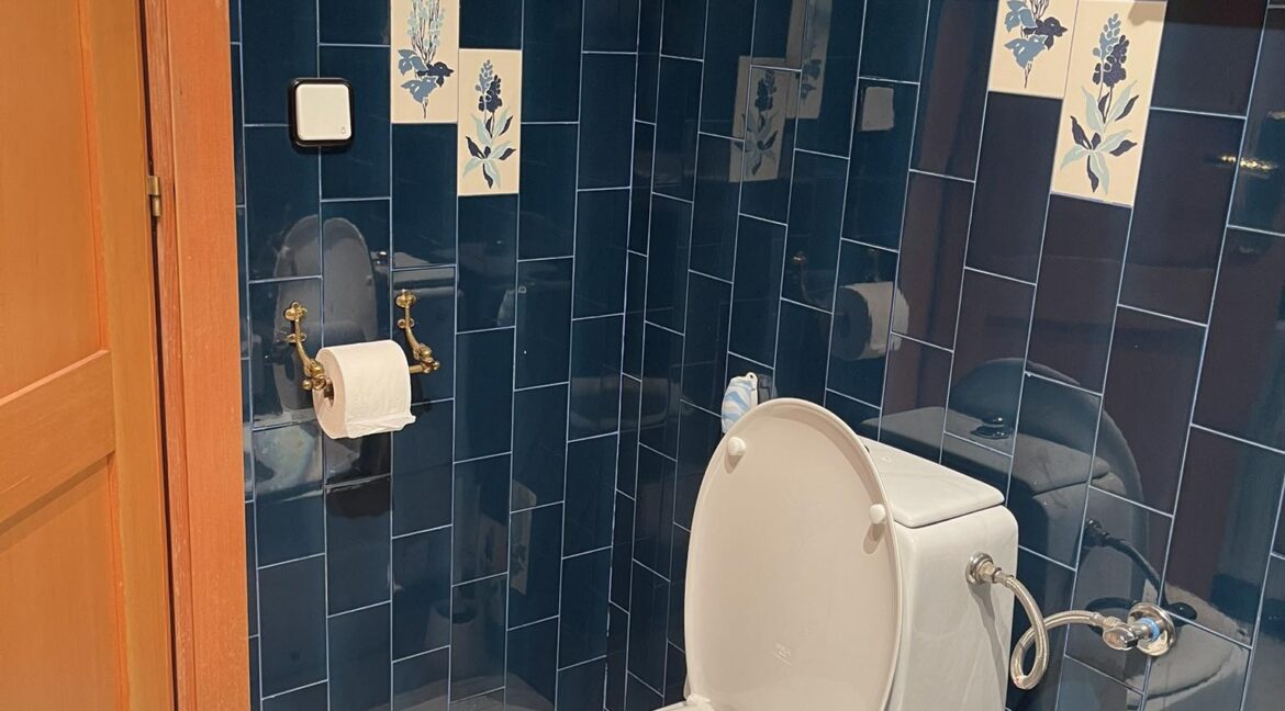 Room 8 Blue Bathroom Pic 1