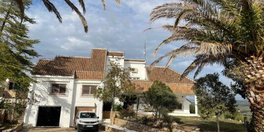 VPS 791 – Chalet and business in Ayora